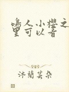 鸣人小樱之夜哪里可以看封面