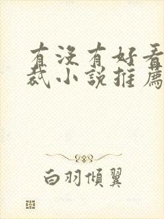 有没有好看的总裁小说推荐一下