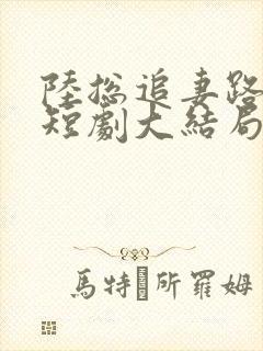 陆总追妻路漫漫短剧大结局