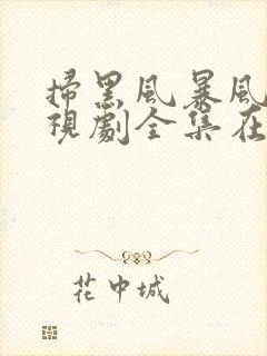 扫黑风暴风暴电视剧全集在线观看