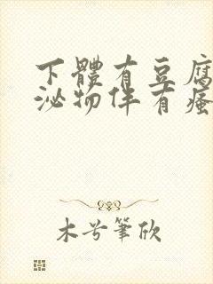 下体有豆腐渣分泌物伴有瘙痒用啥药