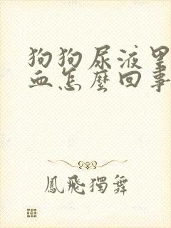 狗狗尿液里面带血怎么回事