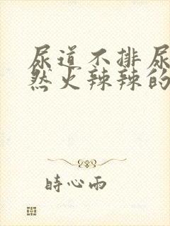 尿道不排尿时仍然火辣辣的