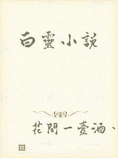 白灵小说