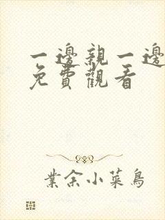 一边亲一边摸下免费观看