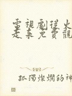 电视剧从火光中走来免费观看