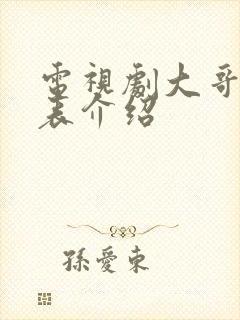 电视剧大哥演员表介绍