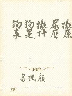 狗狗撒尿撒不出来是什么原因封面