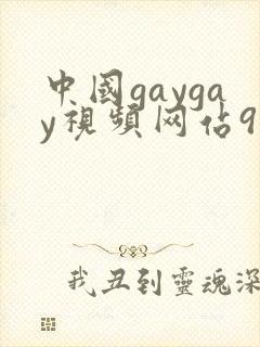 中国gaygay视频网站9191封面
