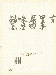 猫咪尿里有血是怎么回事