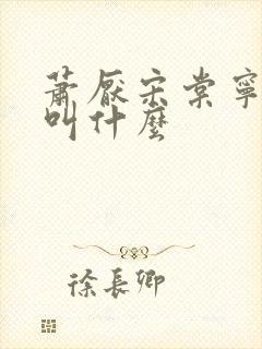 萧厌宋棠宁短剧叫什么封面