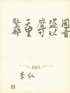 惊天魔盗团2在哪里可以看