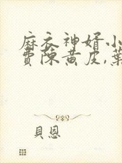 麻衣神婿小说免费陈黄皮,叶红鱼封面