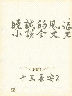 晓诚的风流人生小说全文免费阅读最