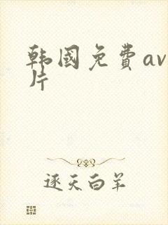 韩国免费av大片