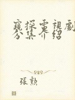 窥探电视剧剧情分集介绍封面