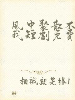 风中聚散不由你我短剧免费观看封面