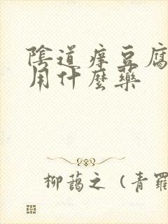 阴道痒豆腐渣该用什么药