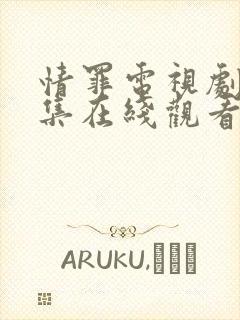 情罪电视剧40集在线观看免费