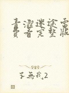 青涩迷途电影免费看完整版封面