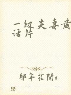 一级夫妻黄色生活片封面