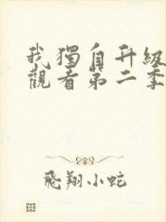 我独自升级在线观看第二季13