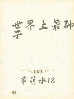 世界上最帅的虫子封面