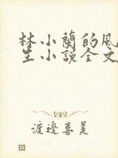 林小兰的风流人生小说全文免费