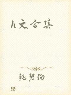 h文合集