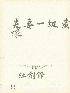 夫妻一级黄色录像