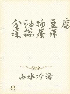 分泌物豆腐渣阴道总瘙痒