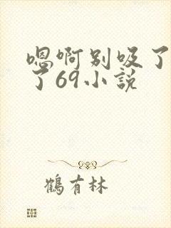 嗯啊别吸了高潮了69小说