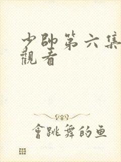 少帅第六集免费观看