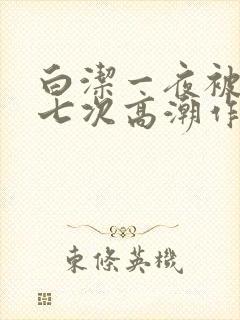 白洁一夜被爽了七次高潮作者封面