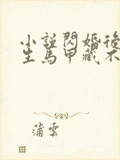 小说闪婚后傅先生马甲藏不住了免费