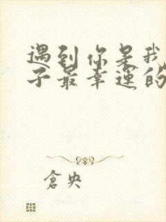 遇到你是我这辈子最幸运的事