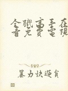 全职高手在线观看免费电视剧