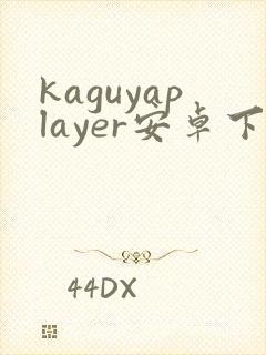 kaguyaplayer安卓下载免费下载