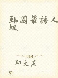 韩国最诱人的三级