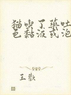 猫吃了药吐了白色黏液或泡沫