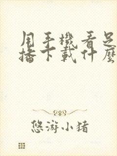 用手机看足球直播下载什么软件