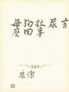 母狗拉尿有血怎么回事