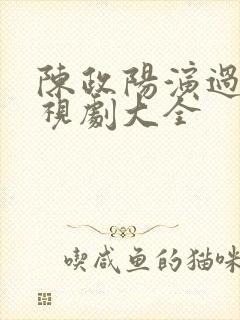 陈政阳演过的电视剧大全