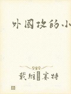 外国攻的小说封面