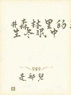 #森林里的熊先生冬眠中