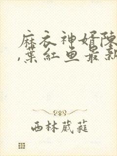 麻衣神婿陈黄皮,叶红鱼最新章节