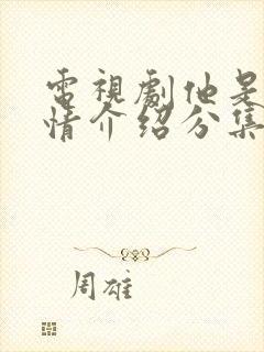 电视剧他是谁剧情介绍分集介绍