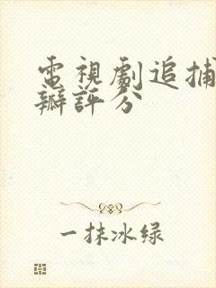 电视剧追捕者豆瓣评分