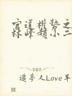 官道权势之滔天林峰赵小二