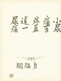 尿道疼痛小便刺痛一直有尿意封面